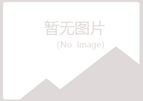 金山屯区夏日美容有限公司